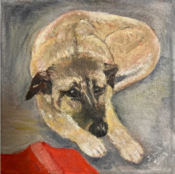 Winter Dog