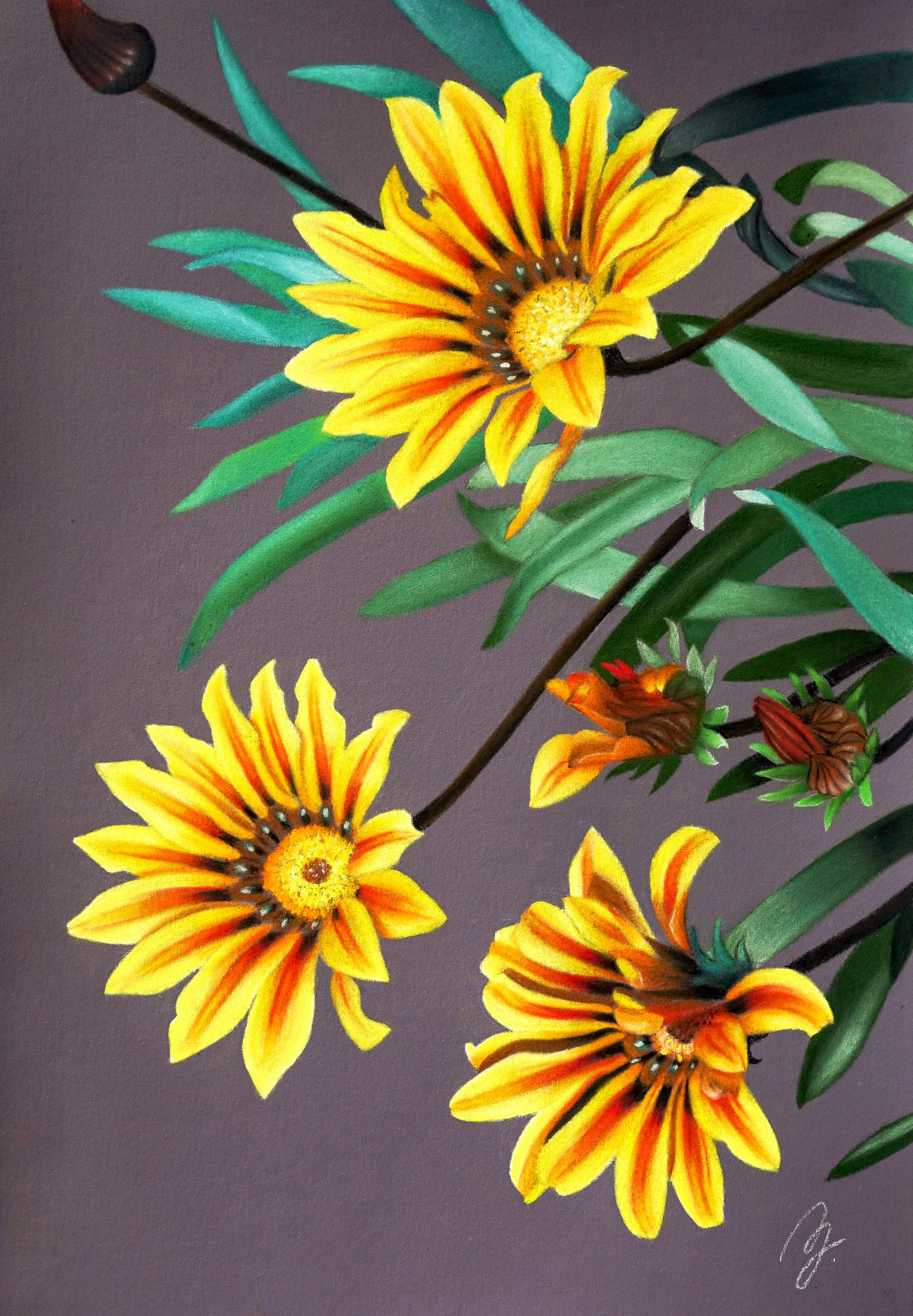 Falentine_Amy_Treasure Flower - 1