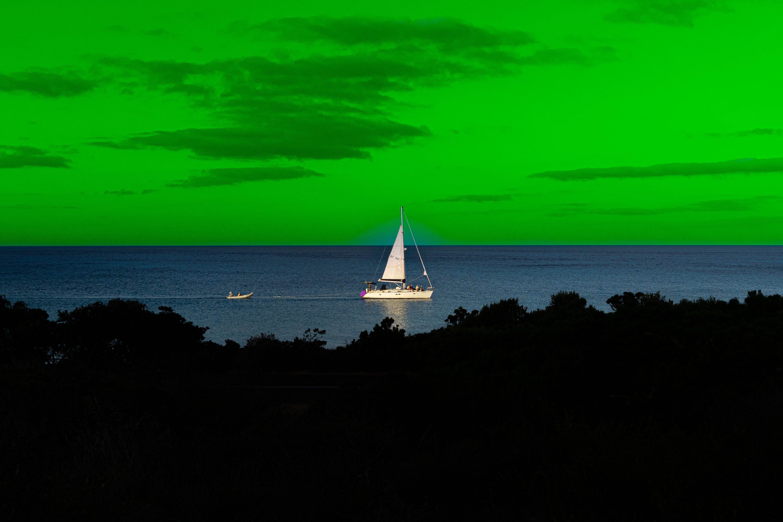 Killham_Nina_APerfectDay_