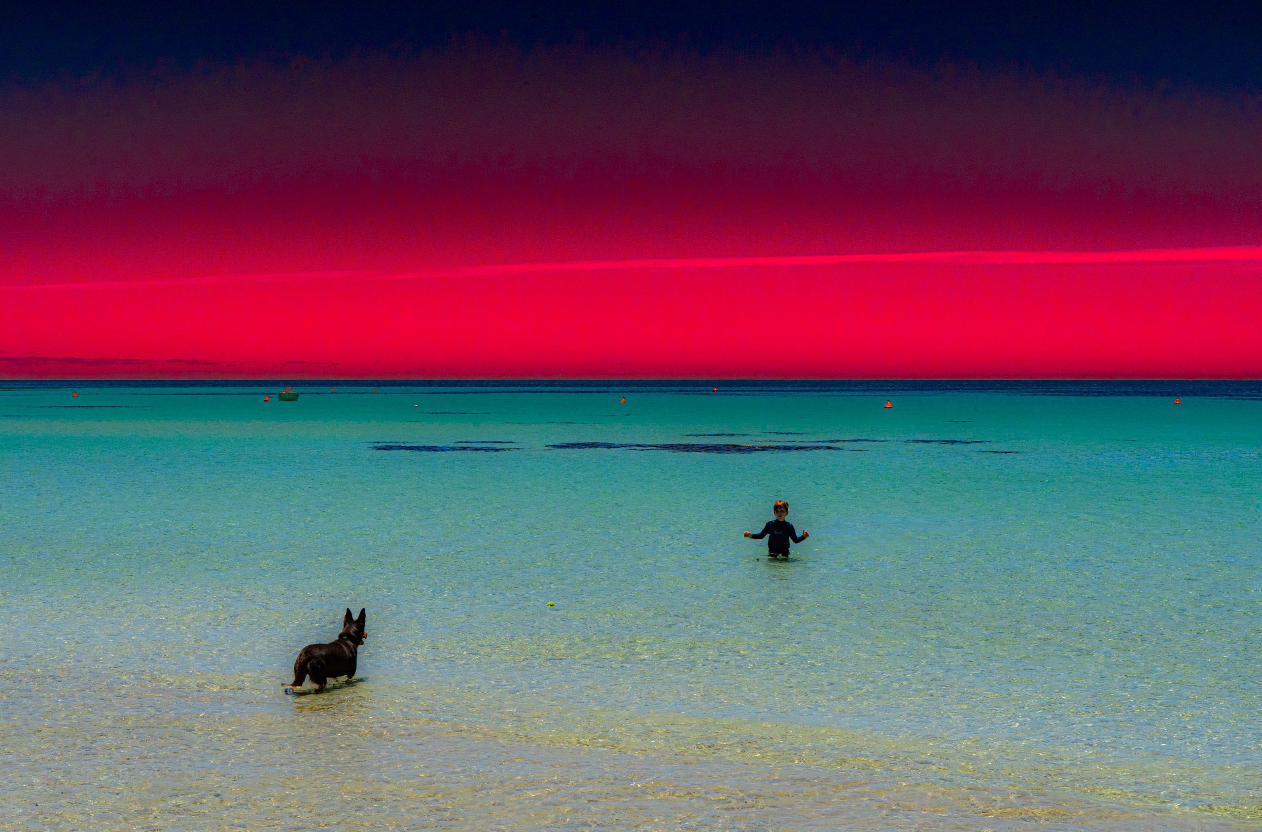 Killham_Nina_SummerSky