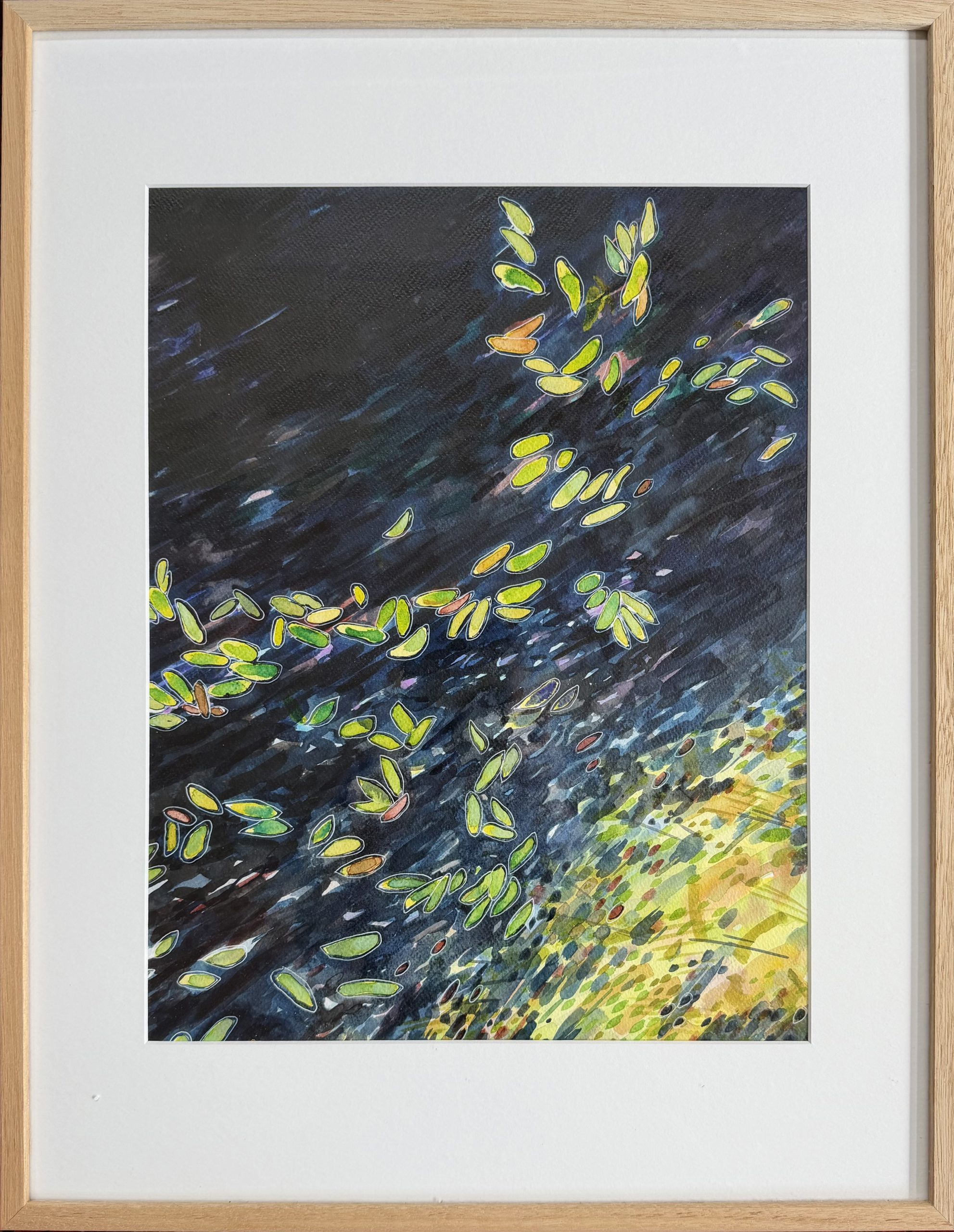 Price_Rosalind_Hot summer in France 4 River Tarn