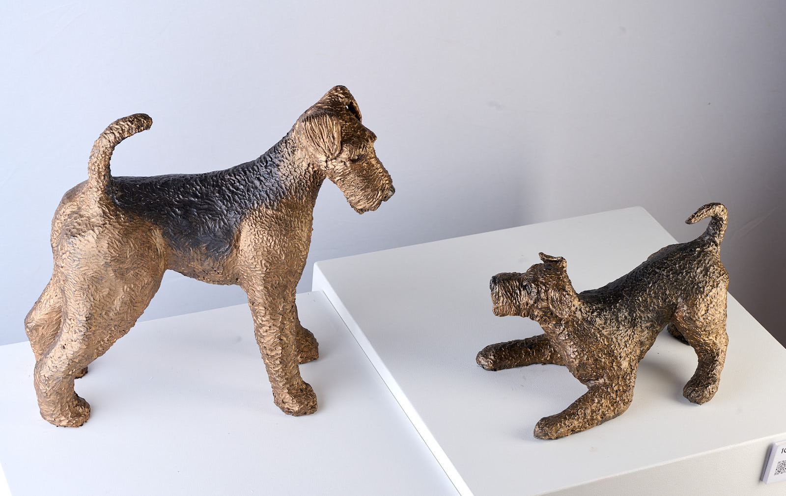 vanVark_Aukje_Airies2