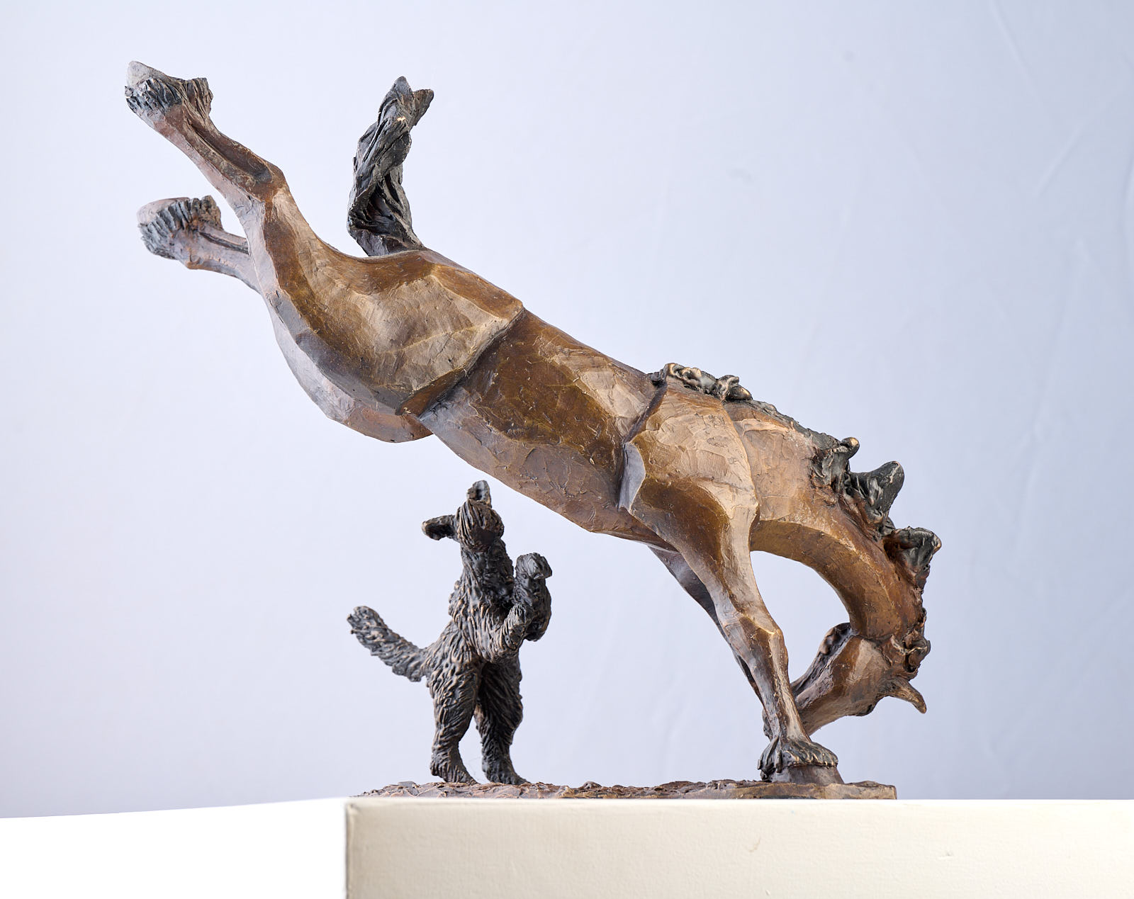 vanVark_Aukje_Horsingaround3