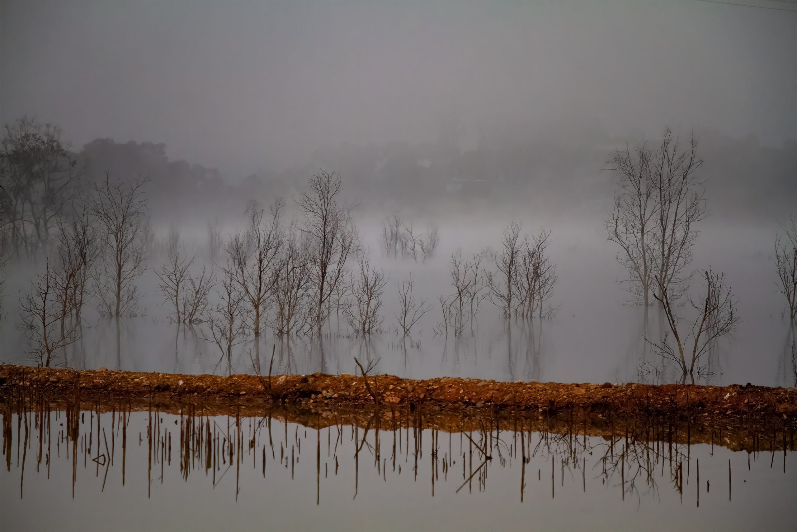 1 IMG_6473 EDIT 2 DENOISED SHARPEN AI