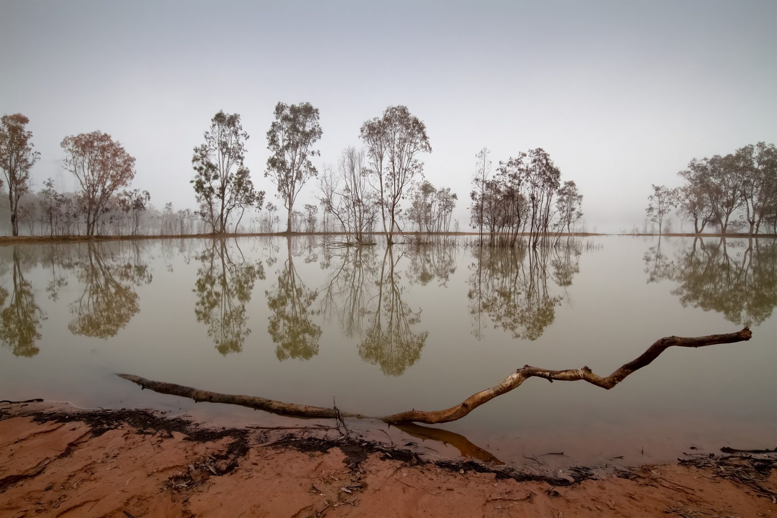 3 IMG_6462 edit 2 DENOISE SHARPEN AI