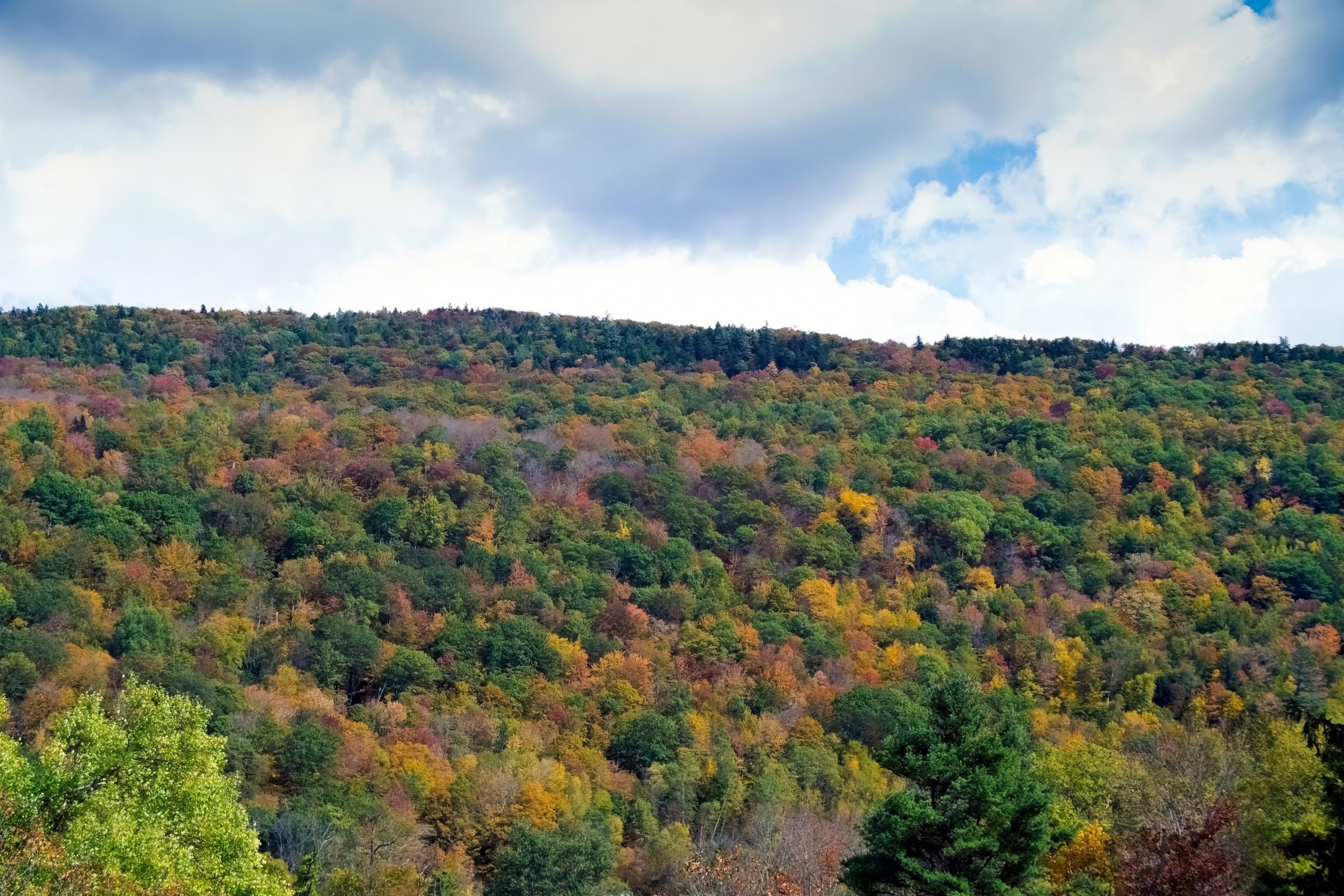 NEAR WOODSTOCK VERMONT USA COLOURS AUTUMN Sept 2025