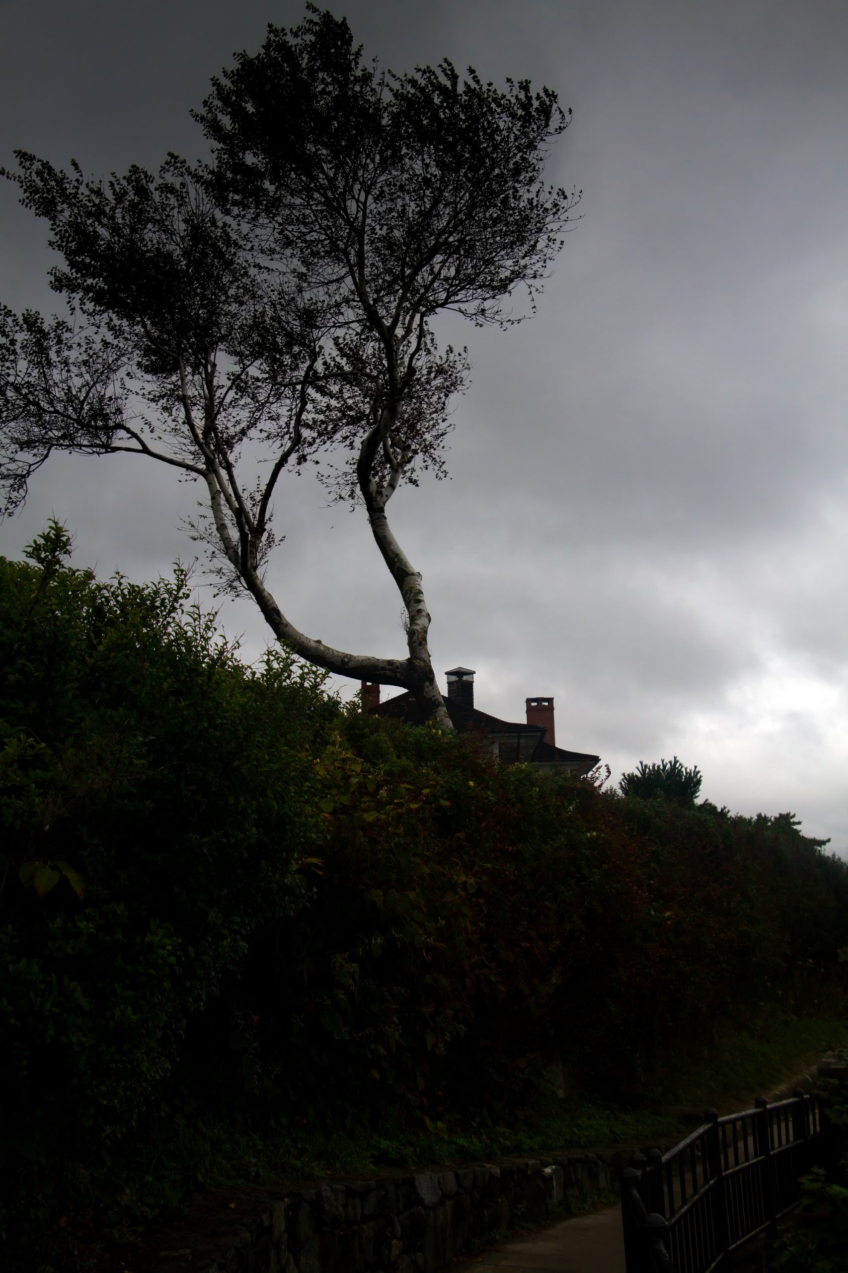 NEWPORT CLIFF WALK RHODE ISLAND Sept 2025