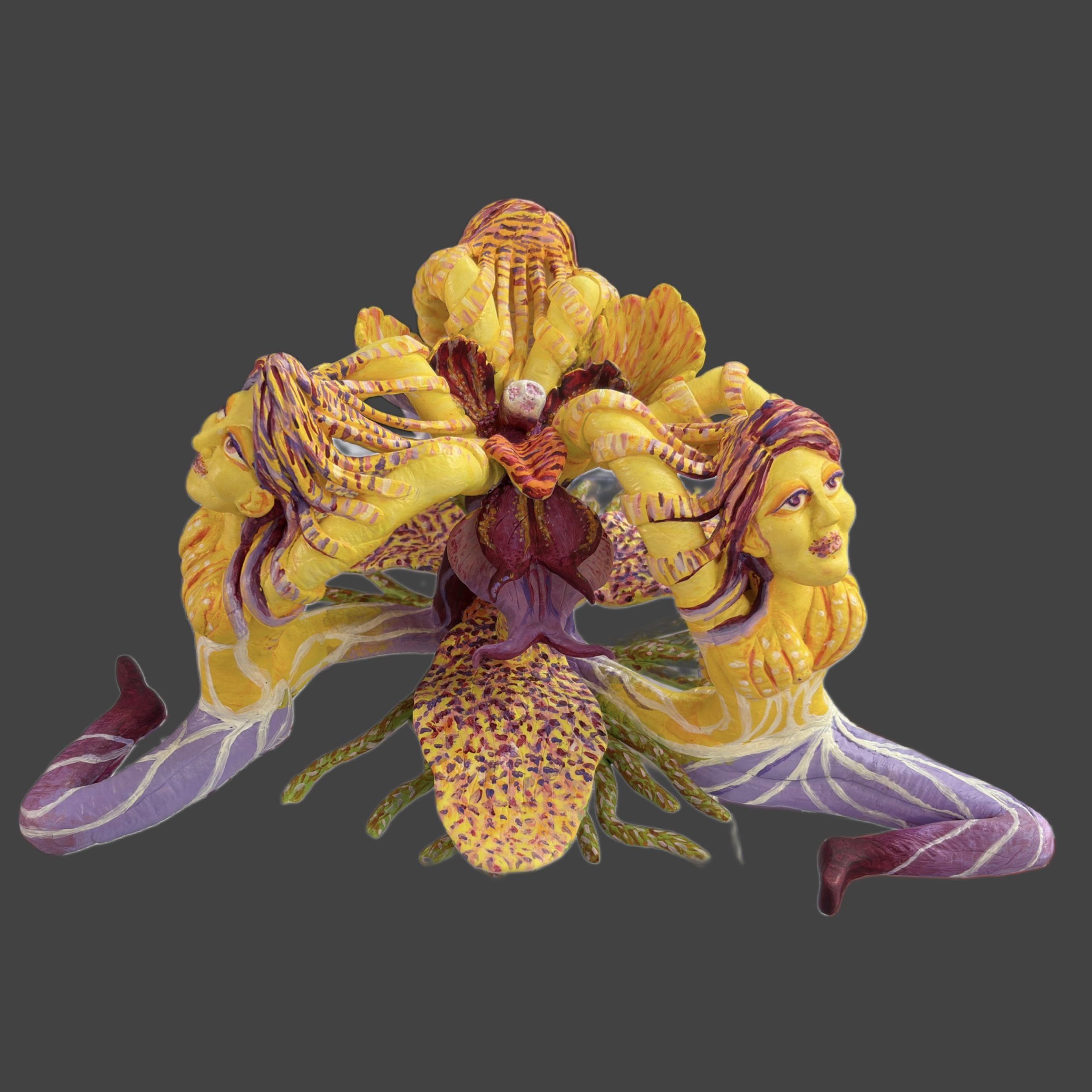 TAMHANKAR_ASMITA_MAY BE ITS AN ORCHID 03