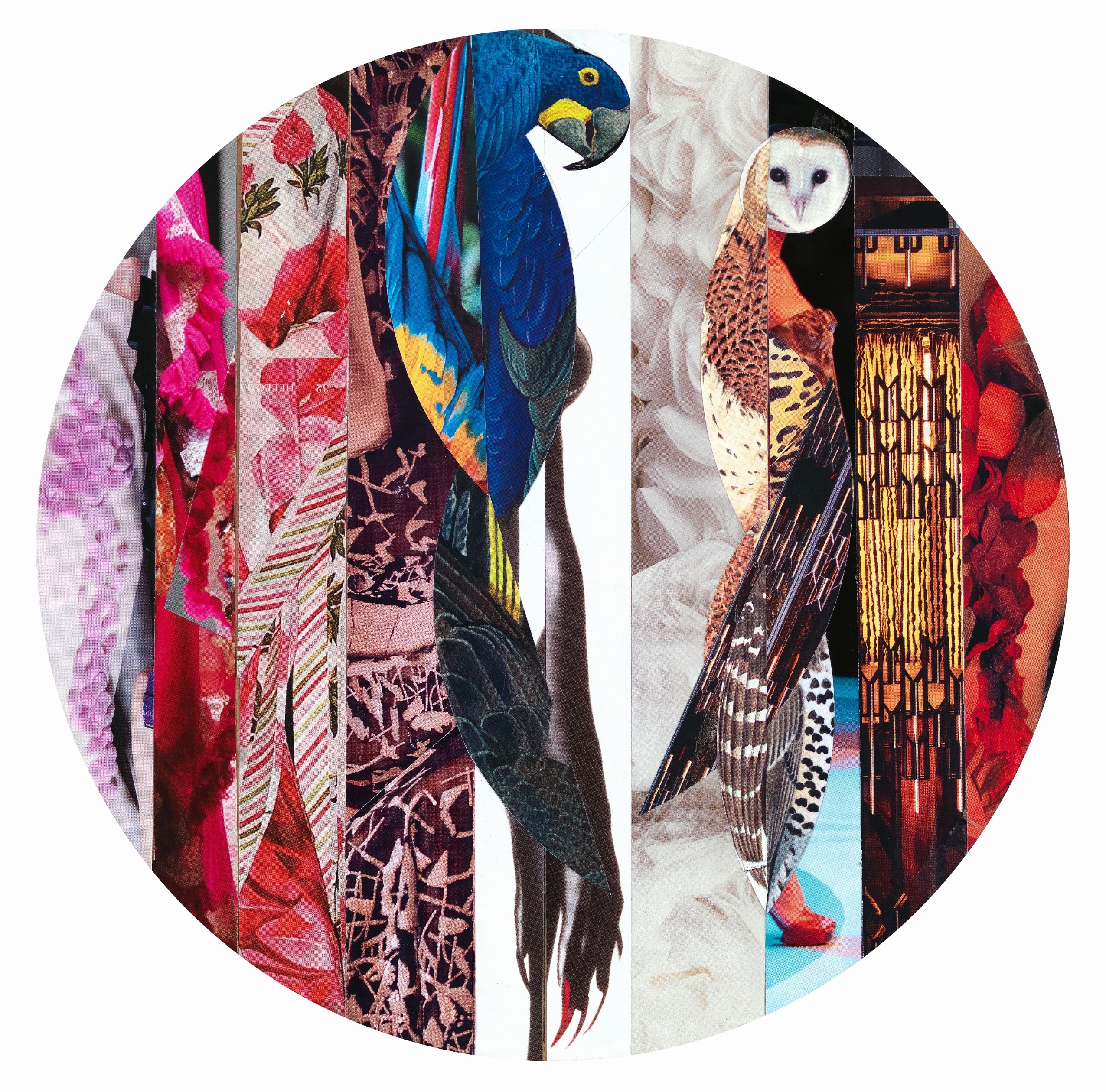 FELICH SAVAAD Macaw & owl (2995x3000) (2551x2555)