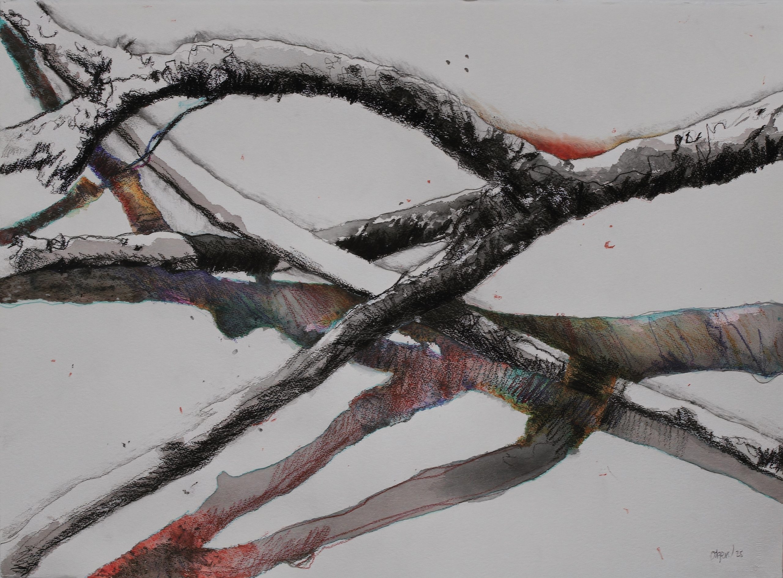 Odgers_Geoffrey_ Driftwood Tuross Head Resilience