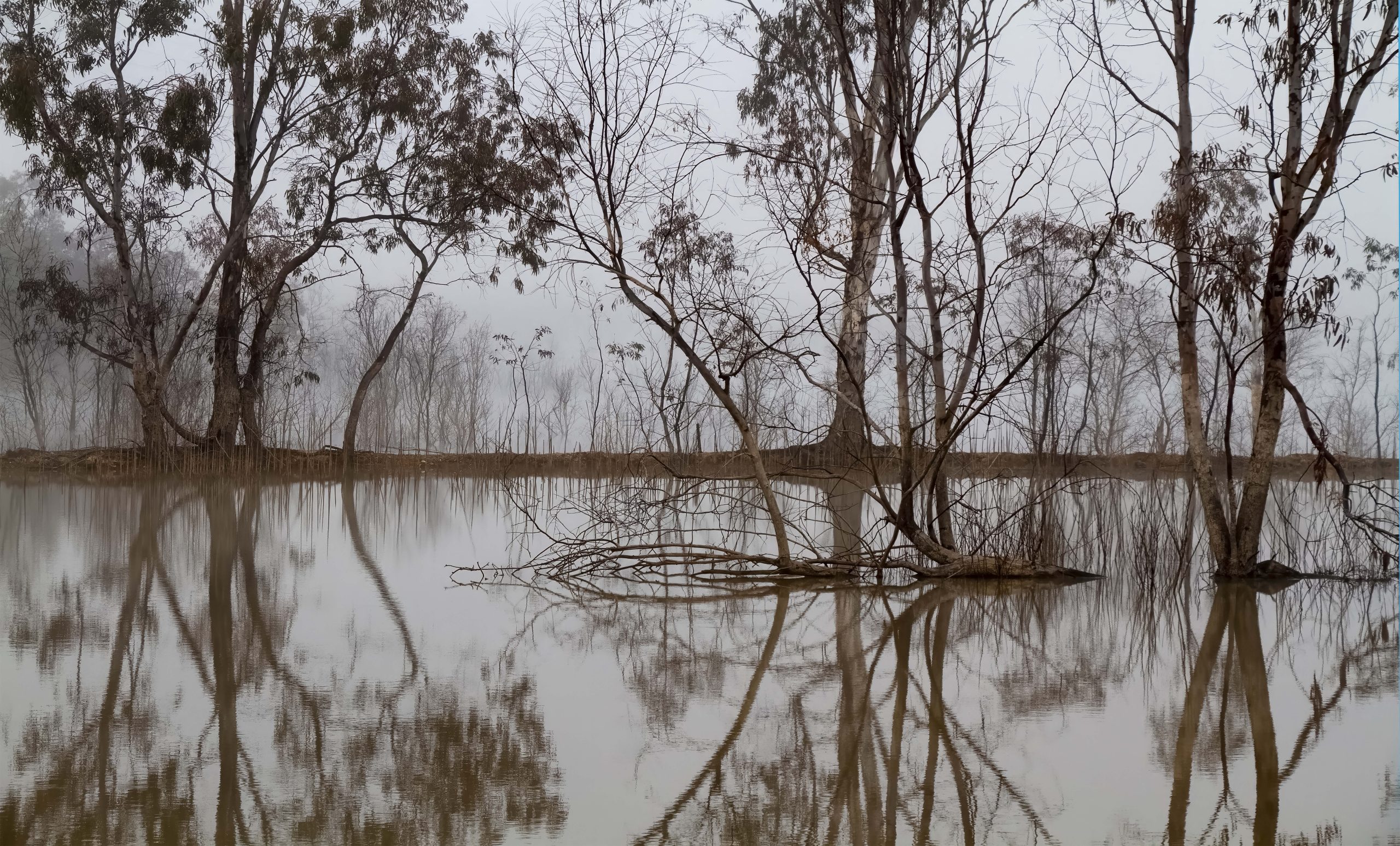 2 IMG_6466 SMALL JPEG
