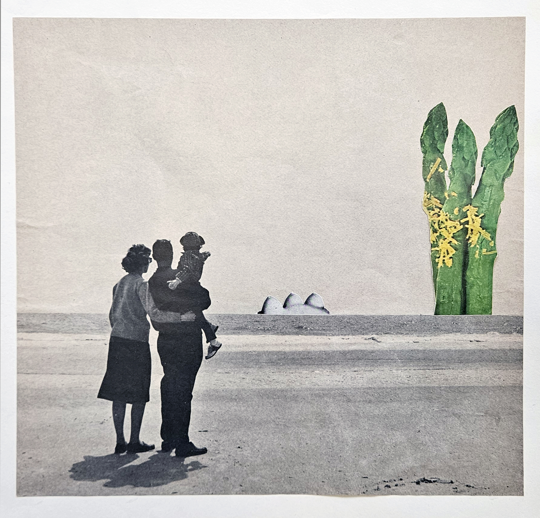 COLLAGE SEA ASPARAGUS