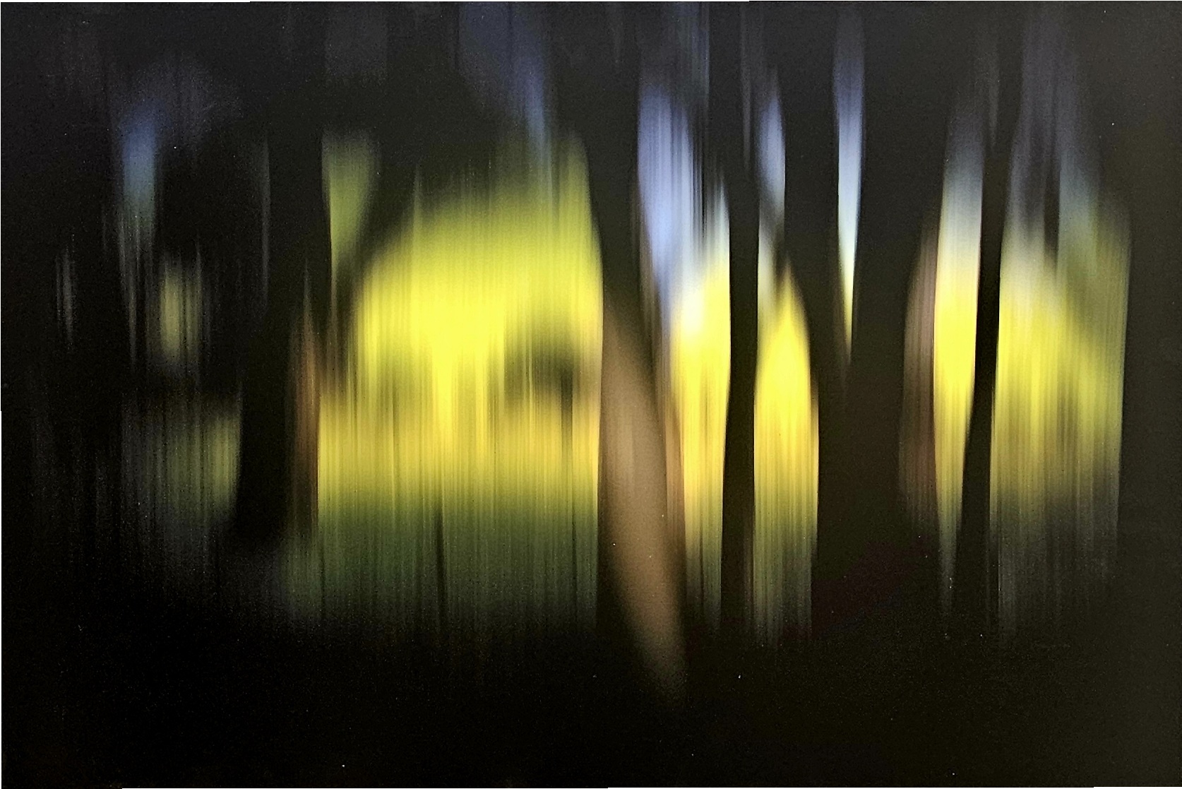 FOREST YELLOW 82 x 55cm 2013