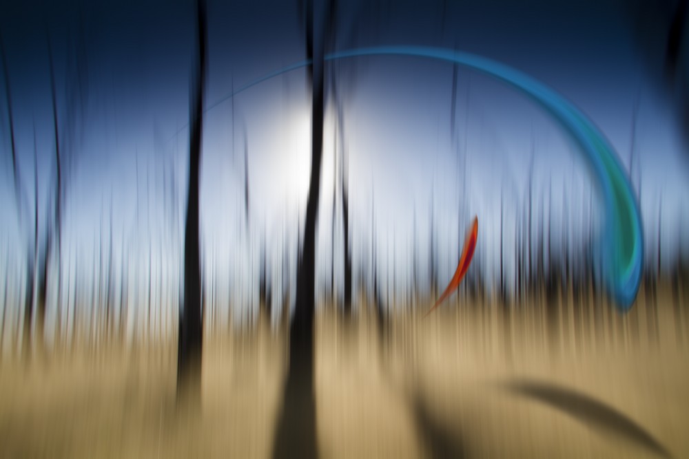 INTO THE SUN 90X60