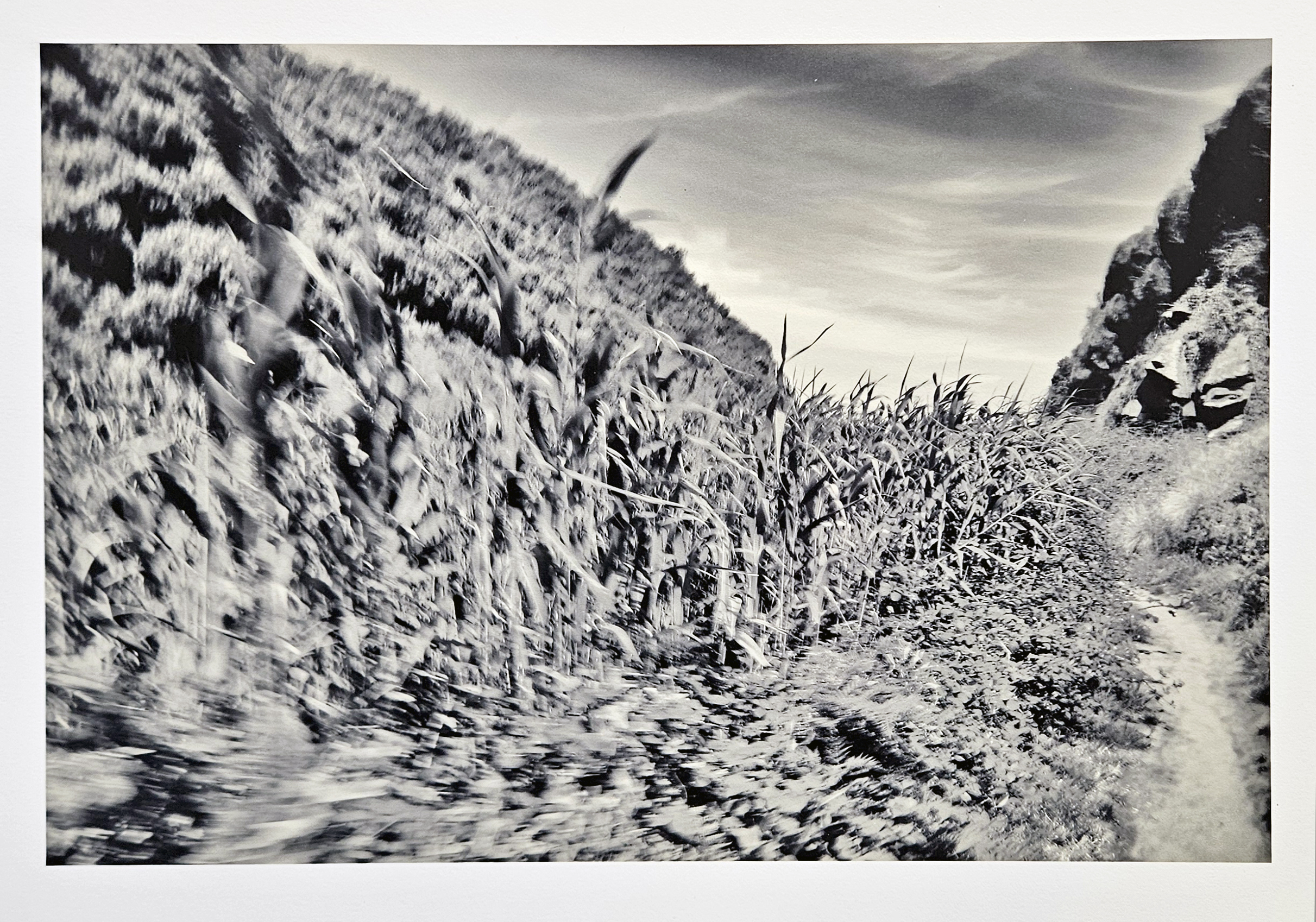 OTWAYS