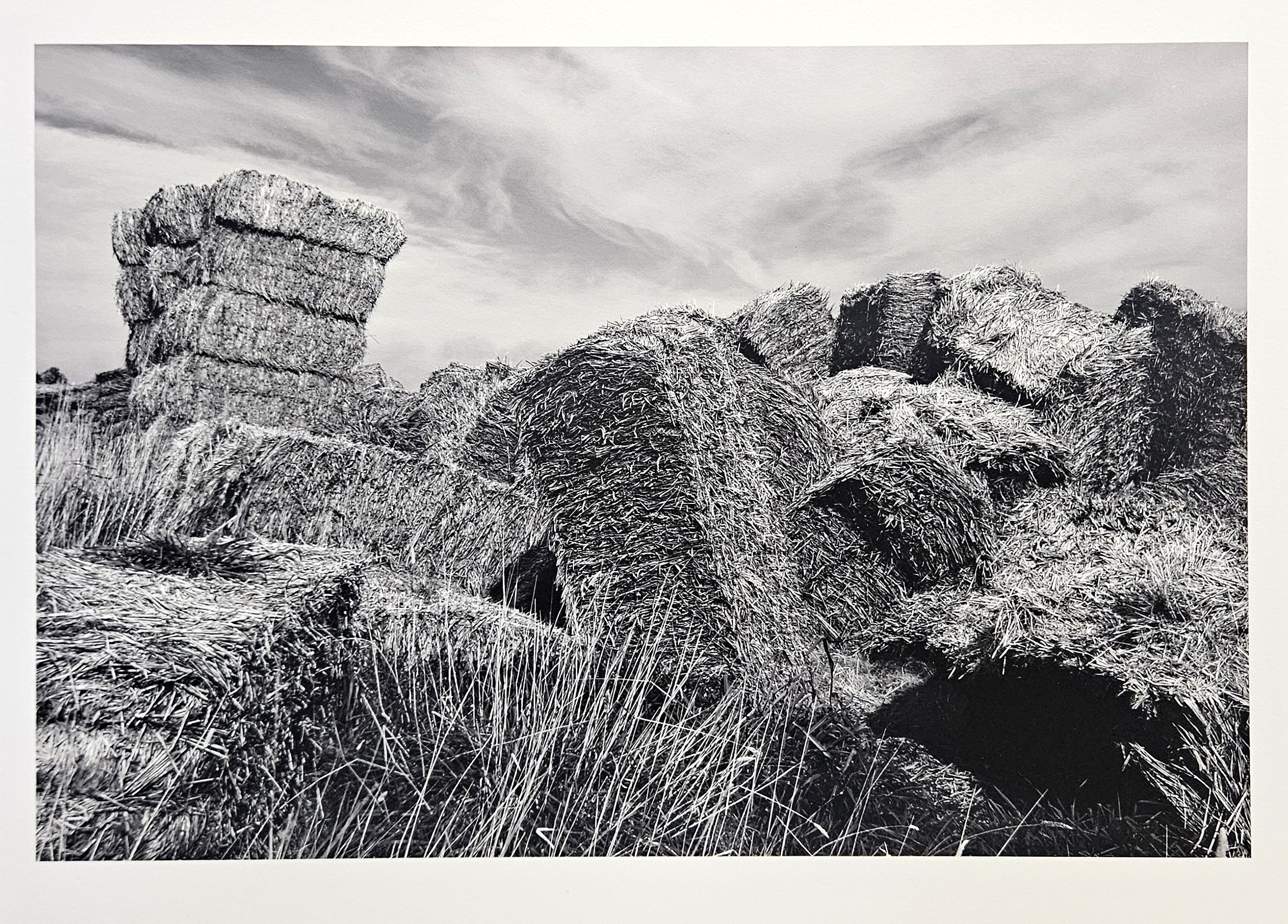 PHOTO HAYSTACK FALLEN c 2012